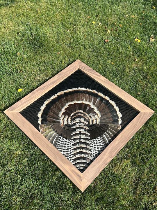 Merriam's turkey diamond mount