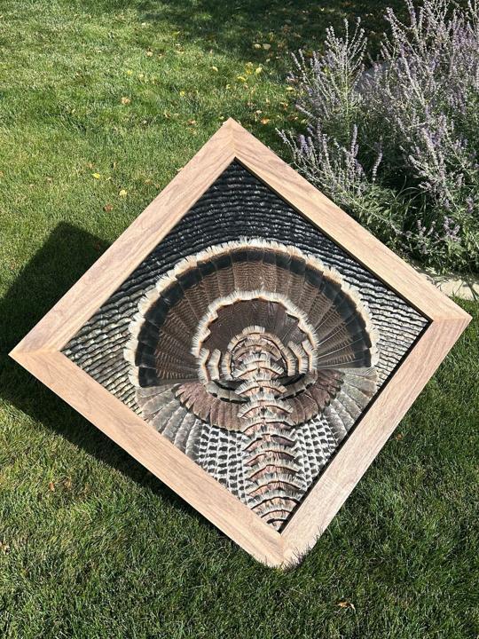 Merriam's turkey diamond mount by the lavender
